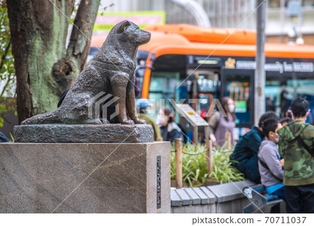 Tokyo cityscape in Japan It used to be crowded with foreign tourists ... Hachiko looks a little lonely 70711037