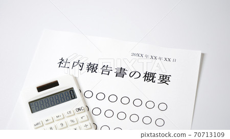 關於內部報告的概要概述公司 關於內部報告的概要概述公司 70713109