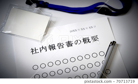 About the outline of the in-house report Overview Company 70713719