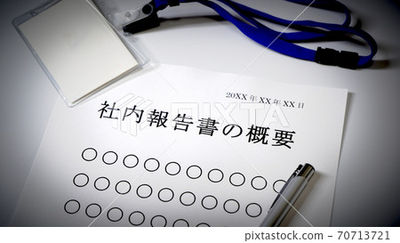 關於內部報告的概要概述公司 70713721