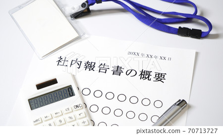 關於內部報告的概要概述公司 70713727