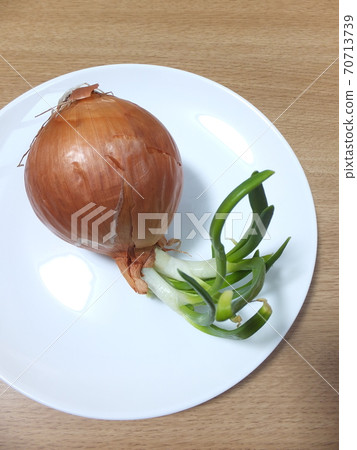 Germination onion buds 70713739