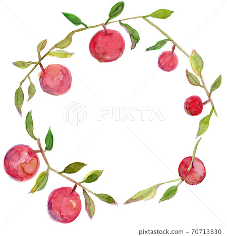 Watercolor illustration of a wreath of red apple-bearing branches 70713830