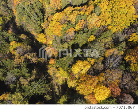 Autumn leaves around Jozankei, Hokkaido (Aerial bird's-eye view) 70713867