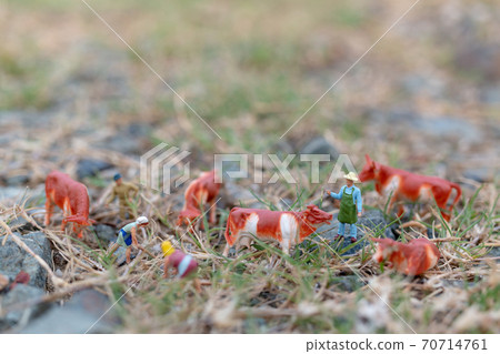 Miniature people : Gardener working on The field , farmer and gardening concept 70714761