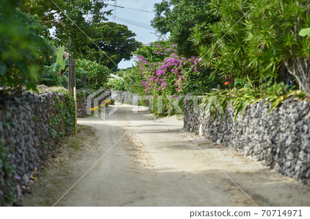 Taketomi Island Road and Ishigaki 70714971