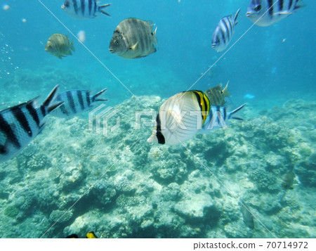 Snorkeling near the blue cave 70714972