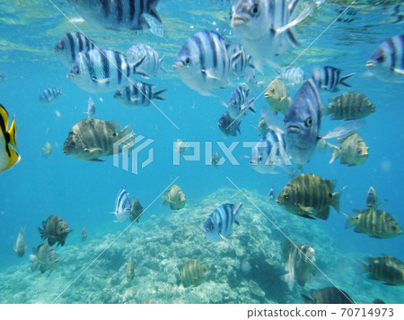 Snorkeling near the blue cave 70714973
