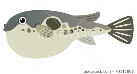 河豚的插圖 70715801
