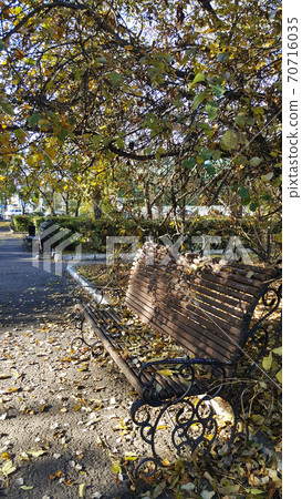 art vertical photo of autumn leaves on a bench on the path in the park art vertical photo of autumn leaves on a bench on the path in the park 70716035