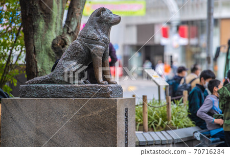 Tokyo cityscape in Japan It used to be crowded with foreign tourists ... Hachiko looks a little lonely 70716284