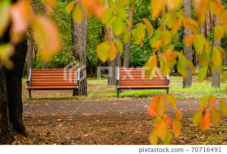 Autumn park bench 70716491