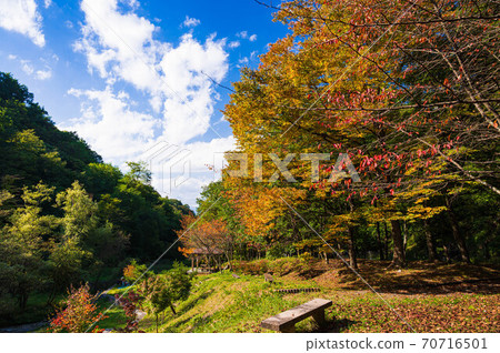Gofukuji River Autumn water play open space Gofukuji River Autumn water play open space 70716501