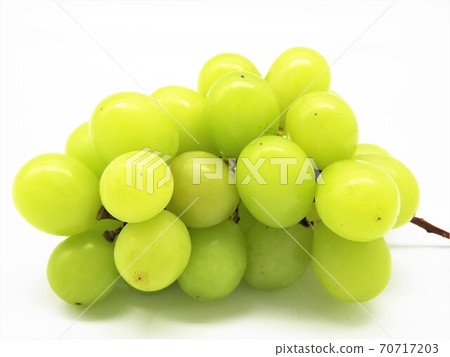 閃耀馬斯喀特 閃耀馬斯喀特 70717203