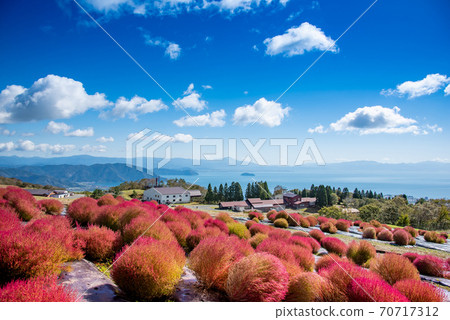 在滋賀縣高島市琵琶湖函館山的山頂上看到的琵琶湖 70717312