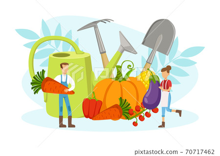 Tiny Farmers Growing and Harvesting Vegetables, Agricultural Industry, Healthy Food Production Vector Illustration Tiny Farmers Growing and Harvesting Vegetables, Agricultural Industry, Healthy Food Production Vector Illustration 70717462