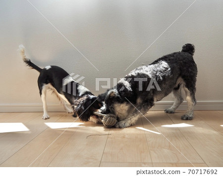 一個好朋友 一個好朋友 70717692