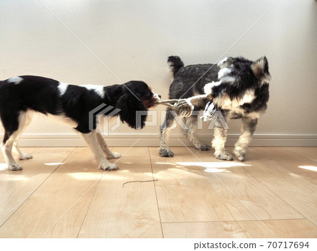 一個好朋友 一個好朋友 70717694