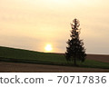 Christmas tree tree 70717836