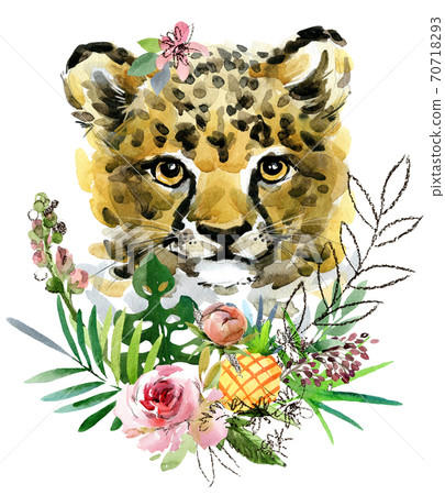 animal, cheetah, watercolor - Stock Illustration [70718293] - PIXTA