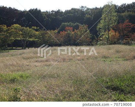 西金中央公園，地下鐵西金中央站步行5分鐘 70719008