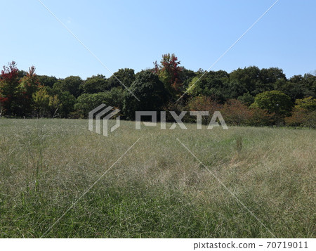 西金中央公園,地下鐵西金中央站步行5分鐘 西金中央公園,地下鐵西金中央站步行5分鐘 70719011