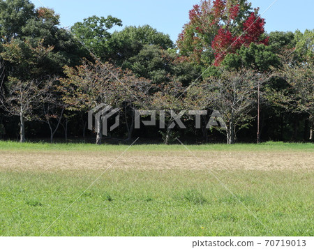 Seishin Central Park, a park 5 minutes from Seishin Chuo Subway Station Seishin Central Park, a park 5 minutes from Seishin Chuo Subway Station 70719013