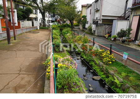 十月世田谷區北澤河綠道243號(鎌倉橋-宮前橋) 十月世田谷區北澤河綠道243號(鎌倉橋-宮前橋) 70719758
