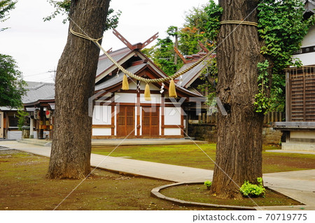 October Setagaya 228 Daita Hachiman Shrine 70719775