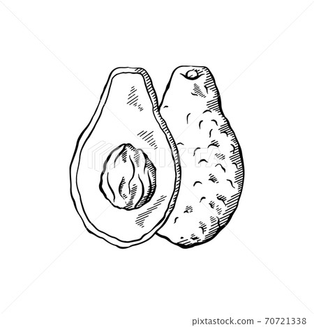 Sketch of avocados with hatching. Various elements of avocado slices with pits. Keto diet. Ingredients for Guacamole. Vector engraving element 70721338