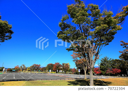 Sagae Highway Oasis Blue Sky and Autumn Leaves Sagae Highway Oasis Blue Sky and Autumn Leaves 70722304