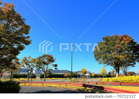 坎加瓦河公路綠洲藍天和秋葉 坎加瓦河公路綠洲藍天和秋葉 70722317