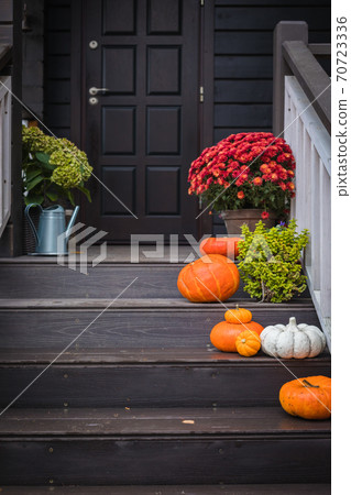 Autumn composition - bright orange pumpkins, colorful chrysanthemum potted, holiday front door steps decoration Autumn composition - bright orange pumpkins, colorful chrysanthemum potted, holiday front door steps decoration 70723336