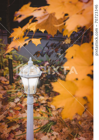 Beautiful street lamp on the background of autumn leaves Beautiful street lamp on the background of autumn leaves 70723346