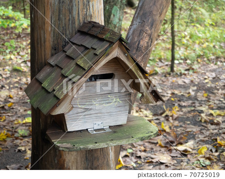 Forest Post Forest Post 70725019