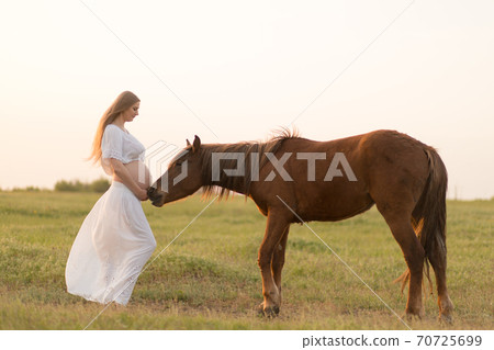 A pregnant girl in white communicates with a horse on a green meadow at sunset. Therapy and relaxation for pregnant women. Antistress therapy 70725699
