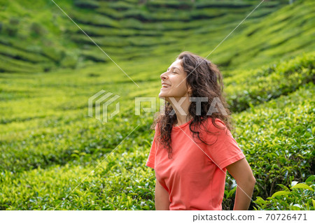 Beautiful brunette girl posing in the middle of the tea valley between green tea bushes. Beautiful brunette girl posing in the middle of the tea valley between green tea bushes. 70726471