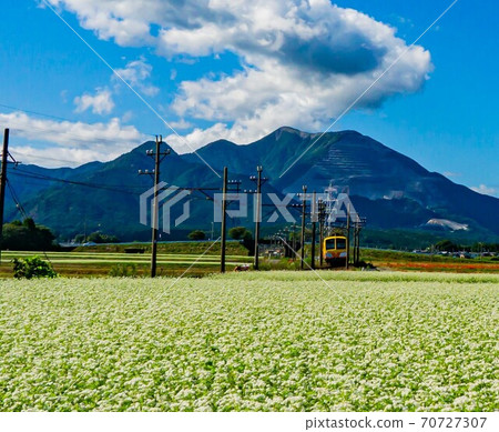 奔向蕎麥場的三岐鐵路列車 70727307