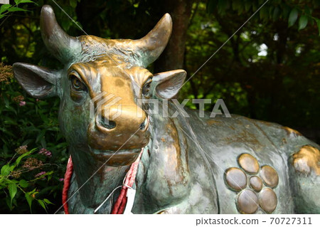 Statue of a cow at Nagaoka Tenmangu Shrine Statue of a cow at Nagaoka Tenmangu Shrine 70727311