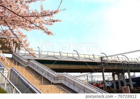 Scenery of cherry blossoms in full bloom around JR Inazawa Station 70728912