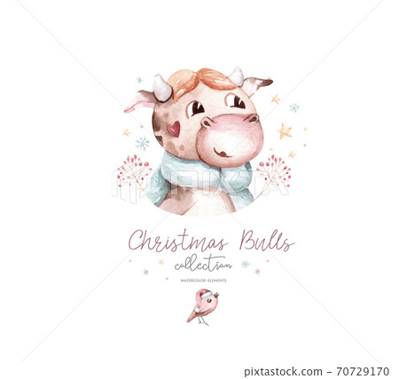Watercolor cartoon illustration. Symbol of the year 2021. Funny and cute Bull. Christmas illustration. Watercolor cartoon illustration. Symbol of the year 2021. Funny and cute Bull. Christmas illustration. 70729170