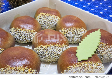 Up of Iga chestnut and elegant kuri manju on the blue furoshiki Up of Iga chestnut and elegant kuri manju on the blue furoshiki 70730526