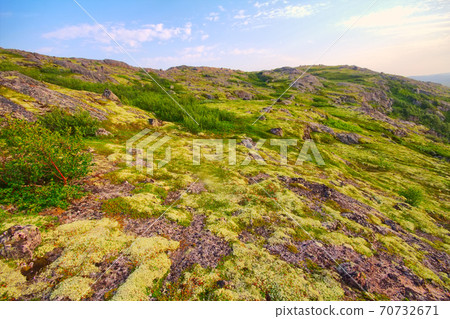 Mountain tundra in Lapland 70732671