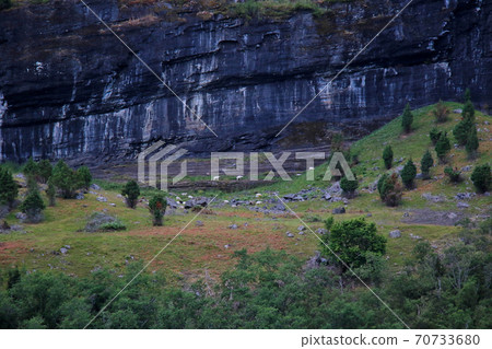 See a flock of goats on a cliff from a sightseeing boat on the Sognefjord cruise between Flåm and Gudvangen, Norway. 70733680