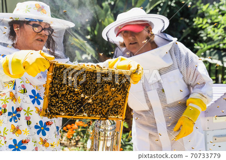 Beekeeper controlling beehive and comb frame 70733779