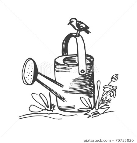 Watering can with bird sitting on its top 70735020