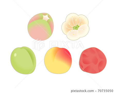Plum bud, plum blossom, ome, ripe plum, pickled plum symbol icon set Plum bud, plum blossom, ome, ripe plum, pickled plum symbol icon set 70735050
