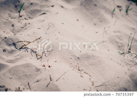 Top view Blur Sand on beach dune with blotches of dry grass shadows, soft focus texture. Background for web design wallpaper screensaver. Toned photo beige Top view Blur Sand on beach dune with blotches of dry grass shadows, soft focus texture. Background for web design wallpaper screensaver. Toned photo beige 70735397