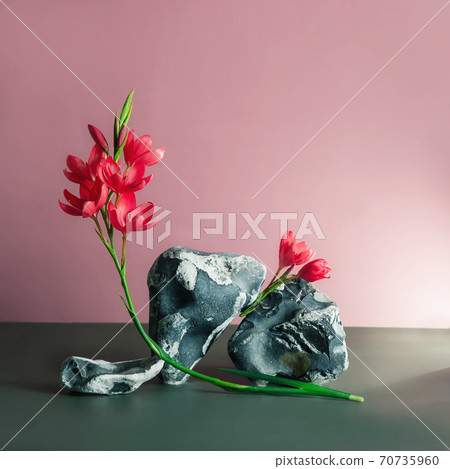 Template, mock-up, podium for natural products and SPA accessories. Creative trendy composition of black and white flintstones and red flowers on a pink and green background. Natural skincare concept. Template, mock-up, podium for natural products and SPA accessories. Creative trendy composition of black and white flintstones and red flowers on a pink and green background. Natural skincare concept. 70735960