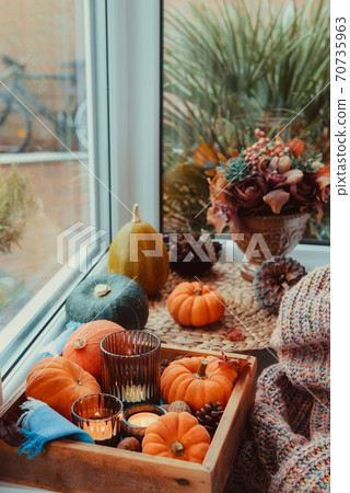 Autumn cozy mood composition on the windowsill. Pumpkins, cones, candles on wooden tray, blurred flower bouquet, warm plaid. Autumn, fall, hygge home decor. Vertical card. Selective focus. Copy space. 70735963